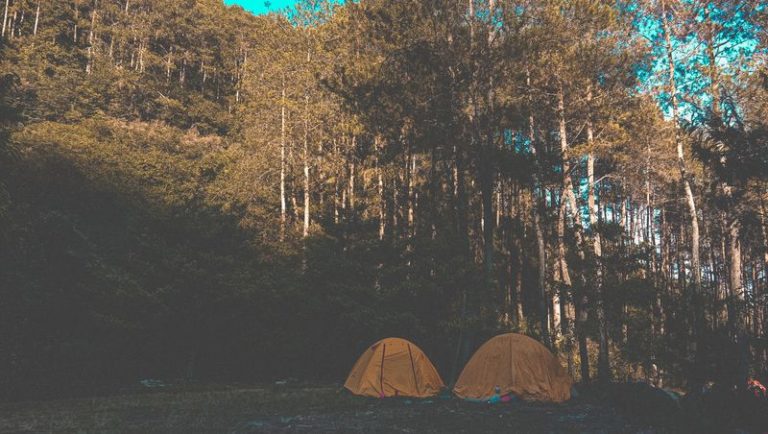 Campen wie in der freien Natur
